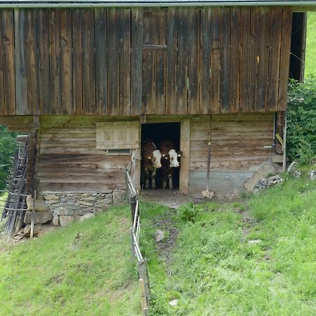 Bergpension-Ebental ブリクセン イン ターレ エクステリア 写真