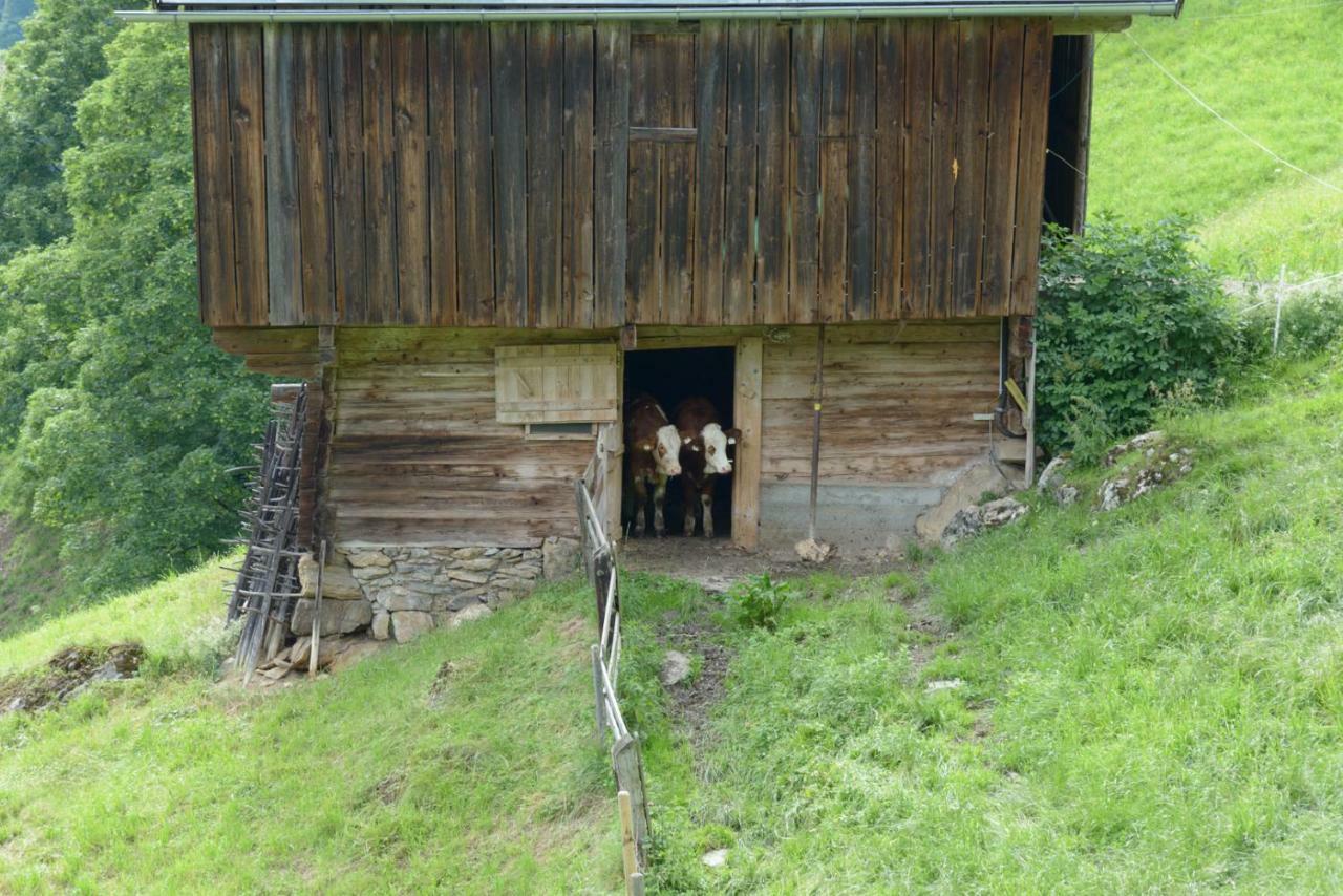Bergpension-Ebental ブリクセン イン ターレ エクステリア 写真